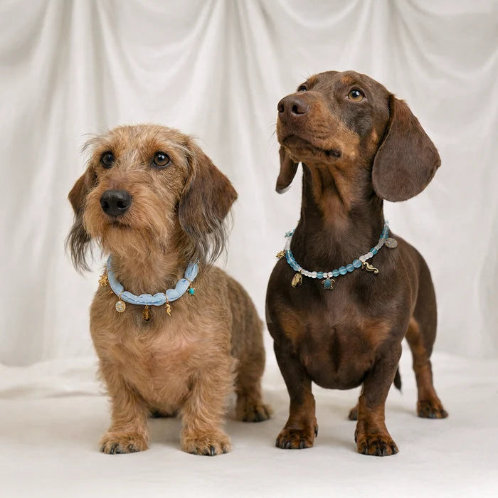 Dog Necklace - Sira