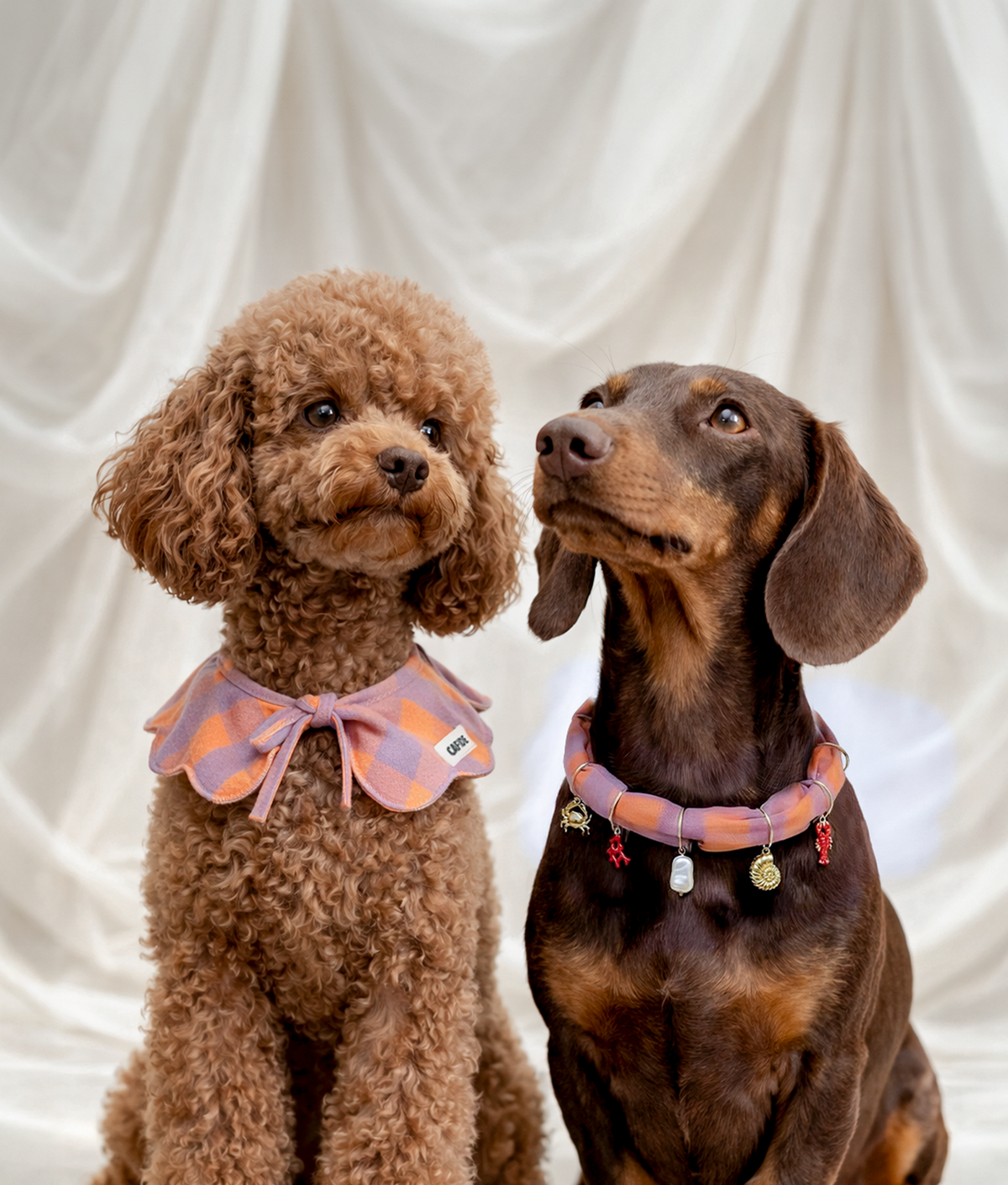 Dog Neck Bandana - Lola