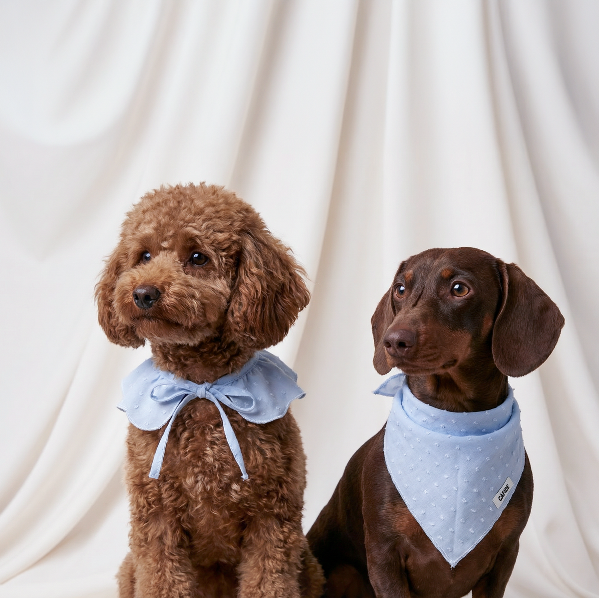 Dog Bandana - Nata
