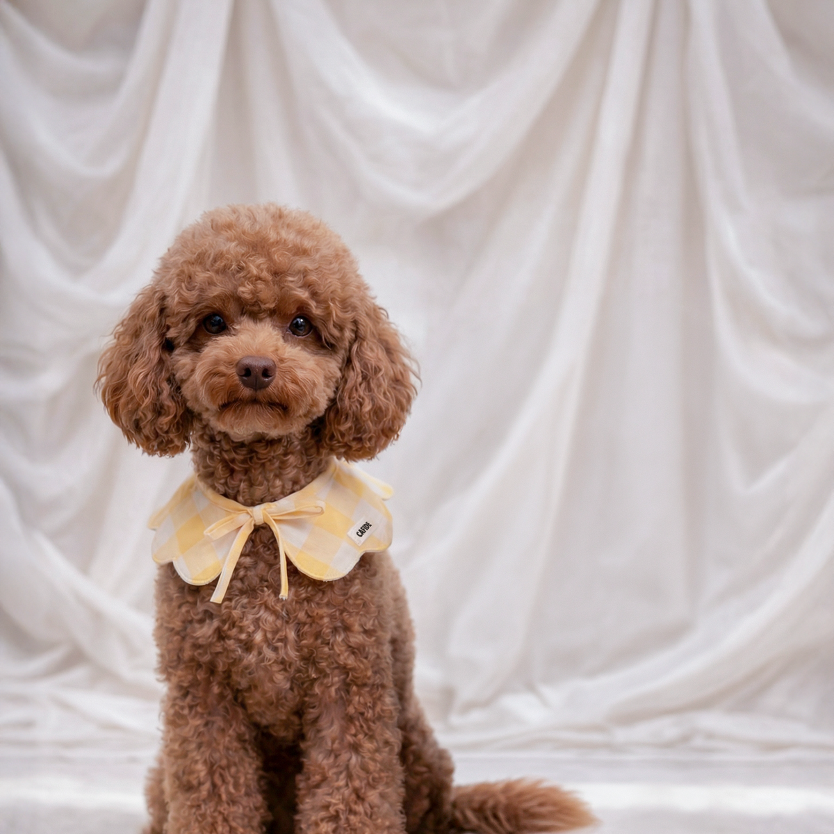 Dog Neck Bandana - Lola