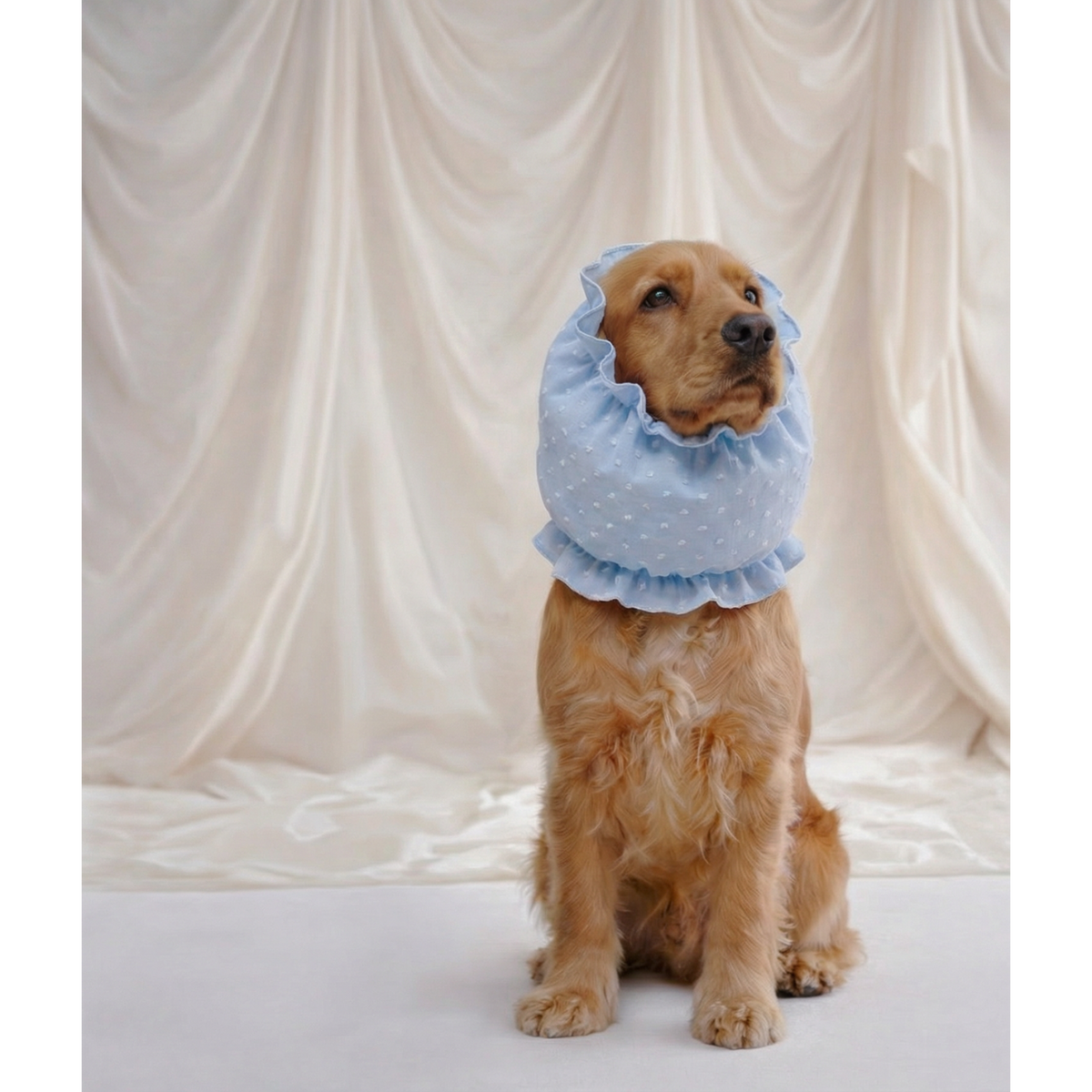 Dog Snood - Olga