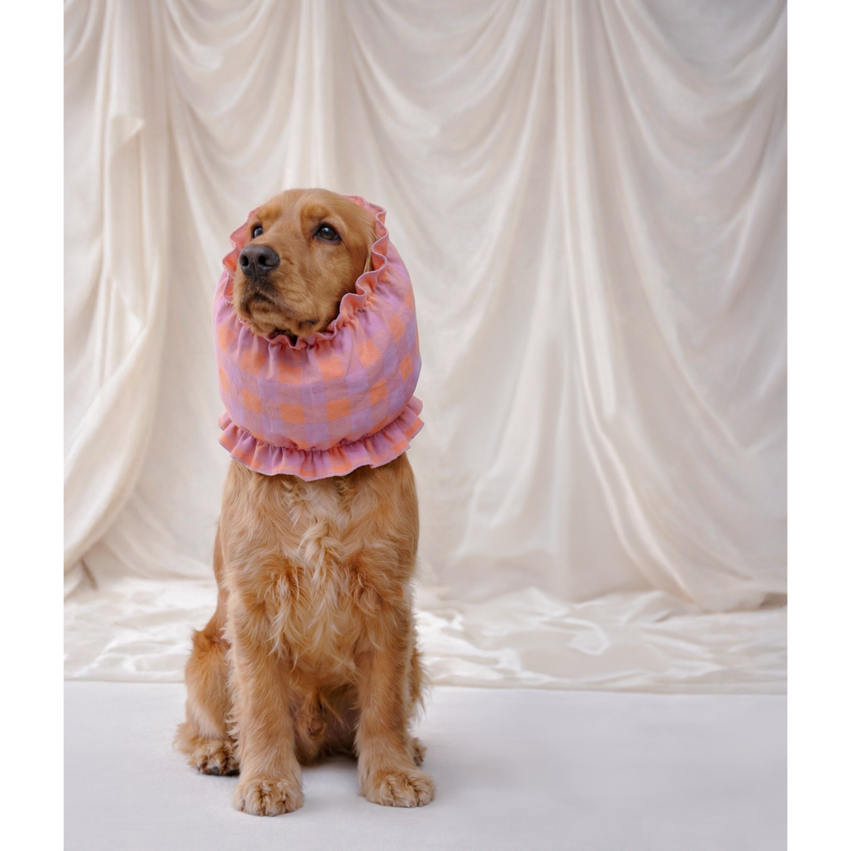 Dog Snood - Olga