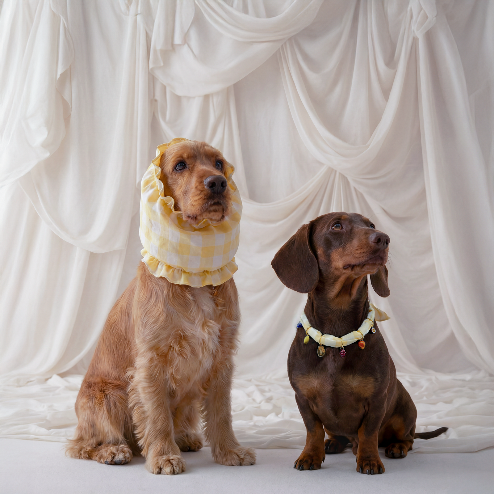 Dog Snood - Olga
