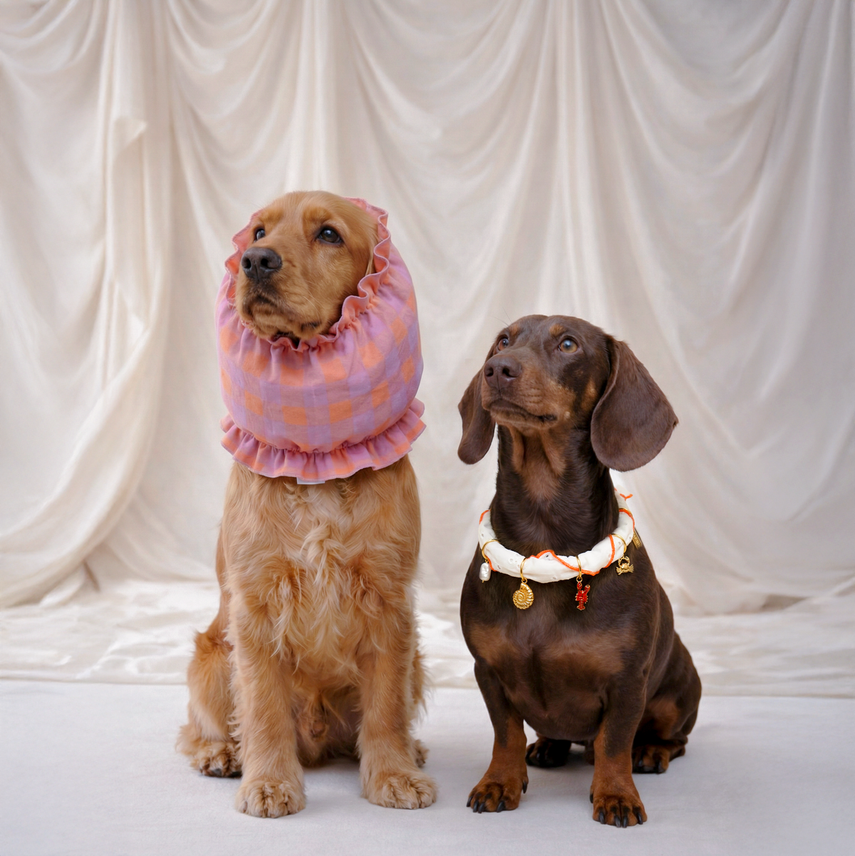Dog Snood - Olga