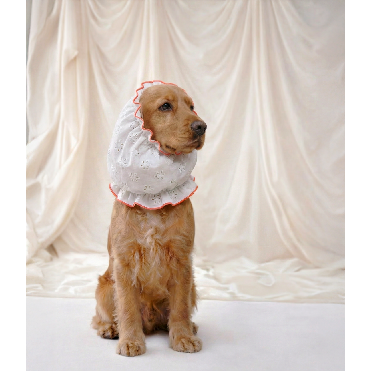 Dog Snood - Olga