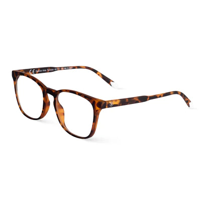 Kids Dalston Tortoise